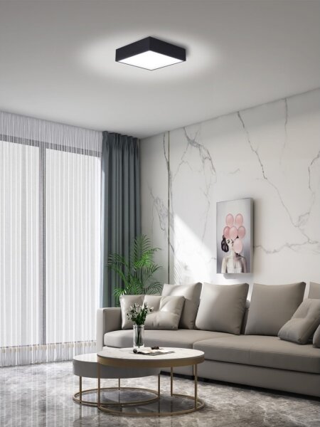 Plafonieră LED dimabilă Immax NEO 07237L CANTO 22W/230V negru Tuya + telecomandă