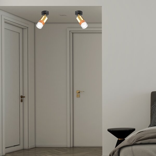 Spot de perete AURORA 1xGU10/10W/230V