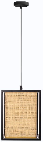 Lampă de tavan APP1285-1CP