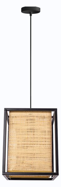 Lampă de tavan APP1285-1CP