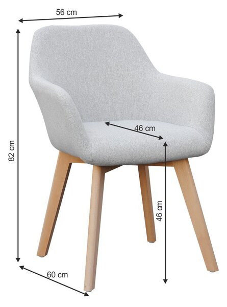 Fotolii de design Clorita (gri deschis) . 1016548