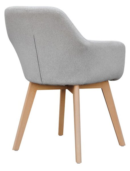 Fotolii de design Clorita (gri deschis) . 1016548