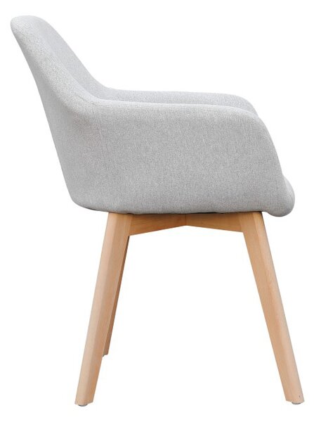 Fotolii de design Clorita (gri deschis) . 1016548