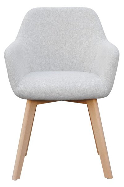 Fotolii de design Clorita (gri deschis) . 1016548