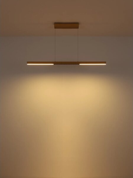 Globo 17018G - Lustră LED suspendată pe cablu CODY LED/24W/230V 3000K