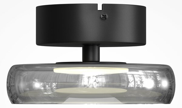 Maytoni Plafonieră LED FLOAT, gri/negru, Ø 20 cm, sticlă/metal, reglabil, Gri, Camera de zi / sufragerie, Sticlă, Modern