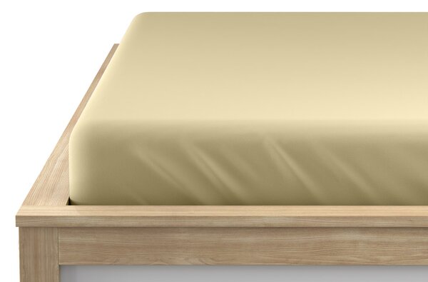 Cearsaf Jersey EXCLUSIVE cu elastic 90x200 cm crem