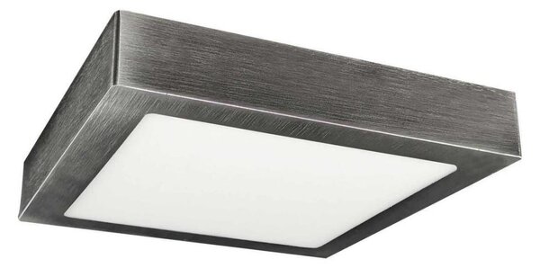 LED Plafonieră FENIX LED/24W/230V 2800K 29,8 cm