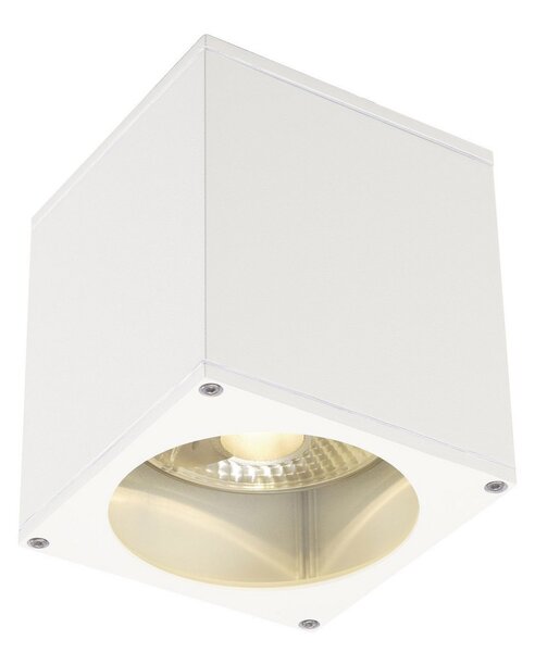 SLV Plafonieră de exterior Big Theo, alb, reglabil, Alb, Metal, Modern