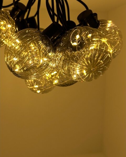 Ghirlandă luminoasă LED decorativă pentru exterior 10xLED/0,15W/230V 6,8 m IP44 negru/fumuriu