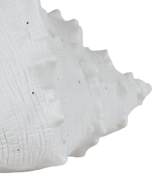 ONLI - Lampă de masă PORCELLANA 1xE14/6W/230V 29 cm scoică