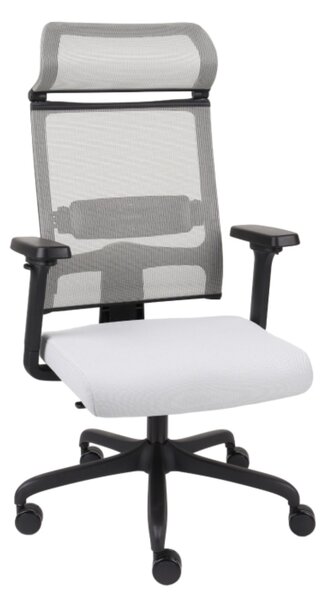 Scaun de birou Ergofix gri