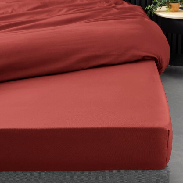 Cearceaf cărămiziu din bumbac percal cu elastic 90x190 cm Percaline – douceur d'intérieur