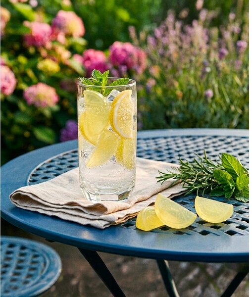Cuburi de răcire 20 buc. din plastic Lemon – Orion