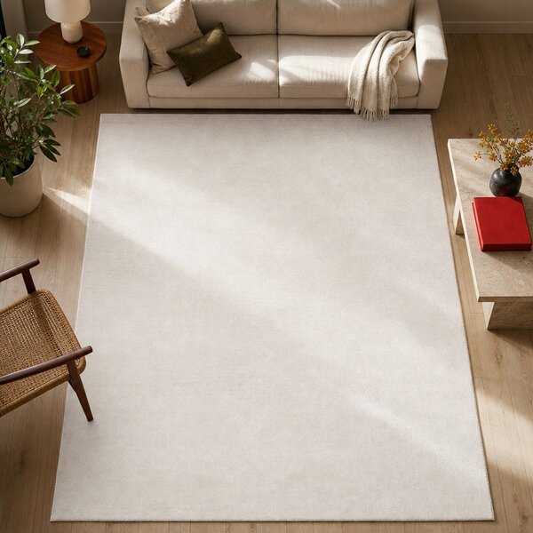 Covor crem 160x230 cm – Universal