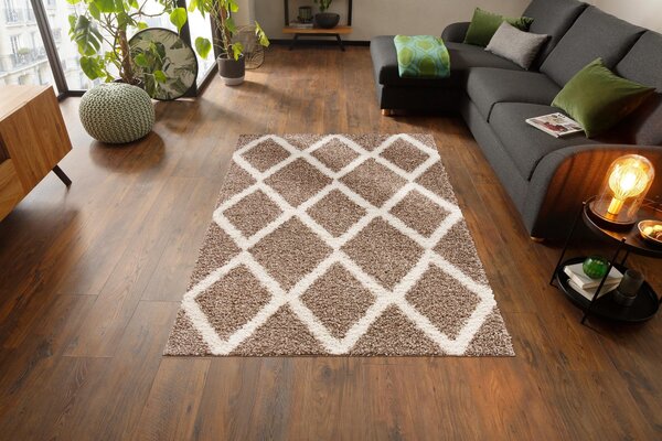Covor Linz maro/bej 240/320 cm