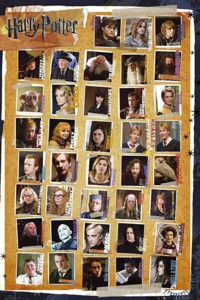Poster Harry Potter - Personaje, (61 x 91.5 cm)