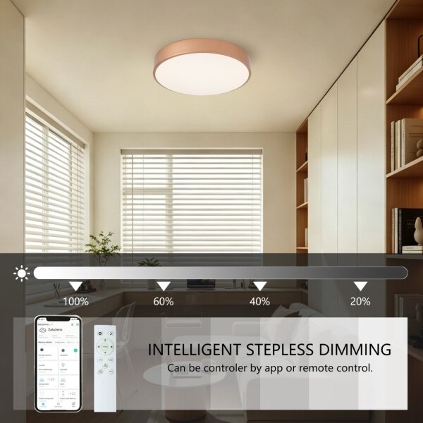 BRILAGI-LED Corp de iluminat dimerizabil POOL SMART LED/48W/230V 40 cm Wi-Fi Tuya cupru + telecomandă