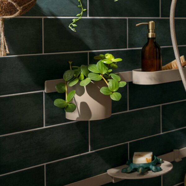 Hansgrohe WallStoris Planet Edition pahar pentru periuta de dinti 28916210
