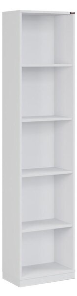 Raft Kaida 3 (alb) . 1109402