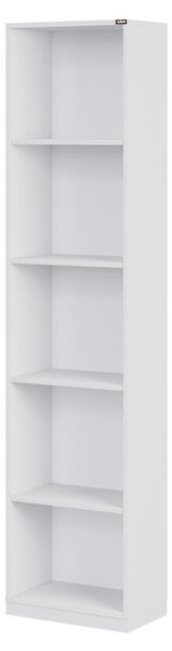 Raft Kaida 3 (alb) . 1109402