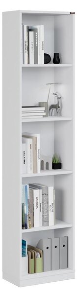 Raft Kaida 3 (alb) . 1109402
