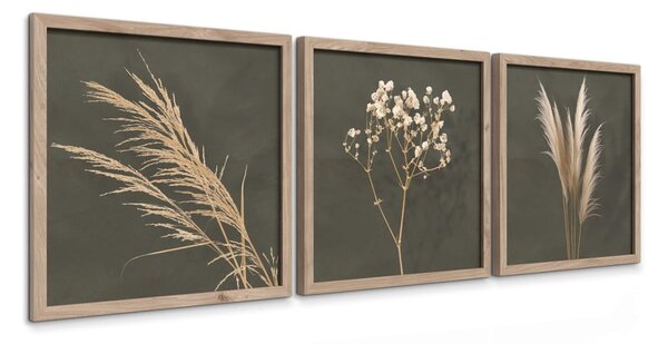 Tablouri 3 buc. 30x30 cm Pampas – Styler