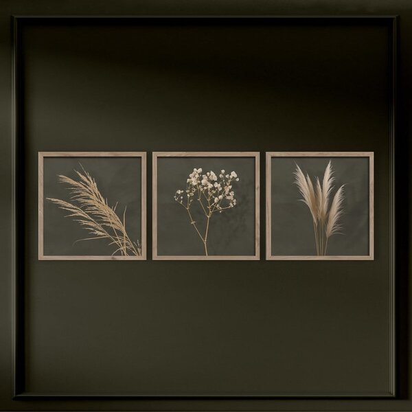 Tablouri 3 buc. 30x30 cm Pampas – Styler