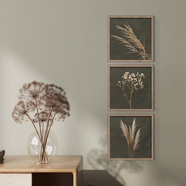 Tablouri 3 buc. 30x30 cm Pampas – Styler