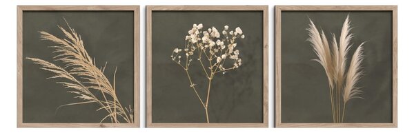 Tablouri 3 buc. 30x30 cm Pampas – Styler