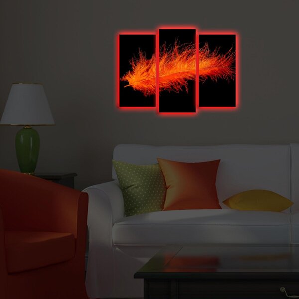 Tablou Canvas cu Led Pana Rosu, Multicolor, 66x45 cm