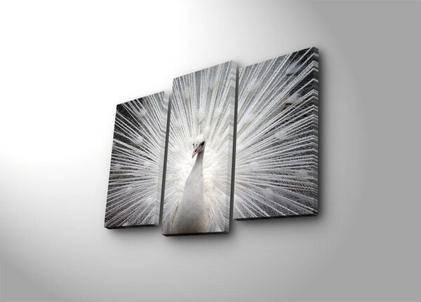 Tablou Canvas cu Led Paun, Multicolor, 66x45 cm