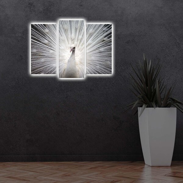 Tablou Canvas cu Led Paun, Multicolor, 66x45 cm