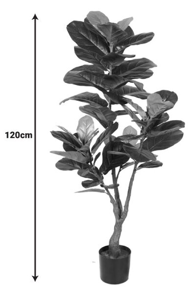 Planta decorativa Fiddleheadghiveci, verde, H120cm