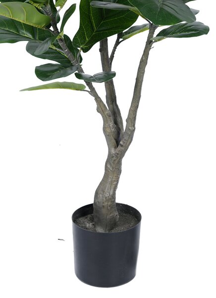 Planta decorativa Fiddleheadghiveci, verde, H120cm