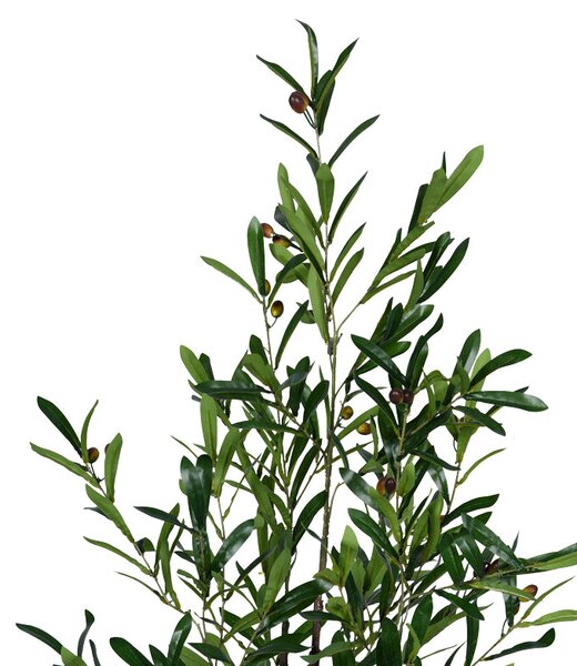 Planta decorativa Olive treeghiveci, verde, H120 cm