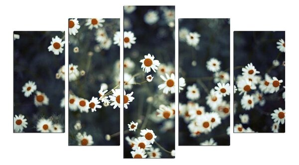 Tablou MDF ( 5 buc ) musetel, Multicolor, 60x110 cm