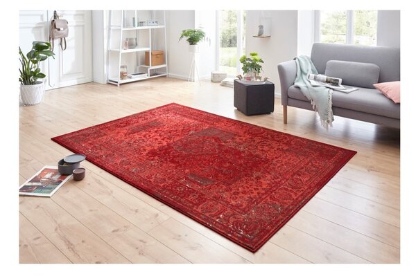 Covor Hanse Home Celebration Plume, 80x150 cm, roșu