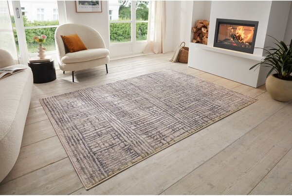 Covor gri 80x120 cm Terrain – Hanse Home