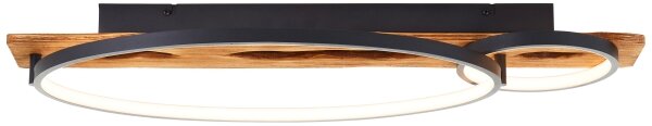Brilliant - Plafonieră LED reglabilă PIRUS LED/30W/230V 30x70 cm
