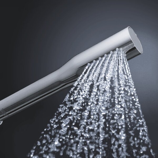 Grohe Euphoria duș de mână StarLight Chrome 27367000