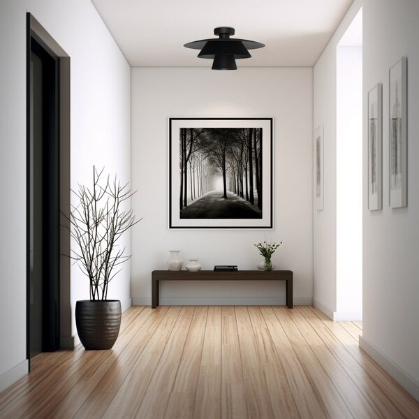 Luminex Plafonieră Plato, negru, metal, Ø 38 cm, E27, reglabil, Negru, Camera de zi / sufragerie, Metal, Modern
