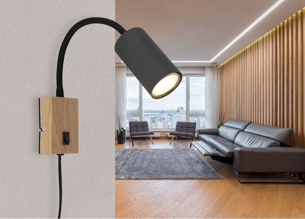 Globo Lighting Robby lampă de perete 1x25 W lemn-grafit 57911WG