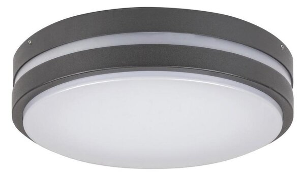 Rabalux 8847 - Aplică perete exterior LED HAMBURG LED/10W/230V IP44