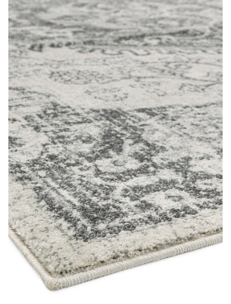 Covor gri/crem 160x230 cm Nova – Asiatic Carpets