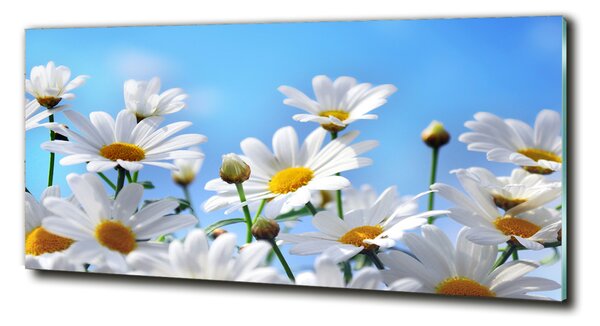 Fotografie imprimată pe sticlă margarete