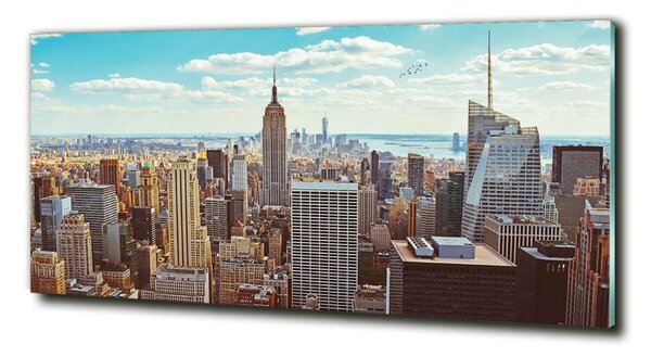 Tablou pe pe sticlă New York pasăre de zbor