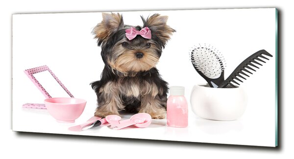 Tablou din Sticlă cosmetice Yorkshire