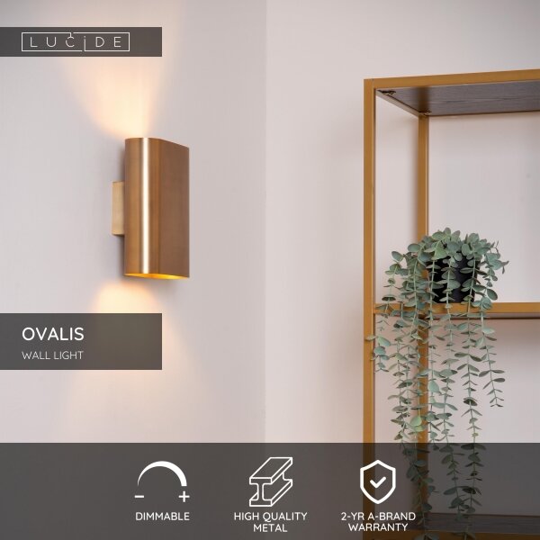 Aplică Lucide 12219/02/02 OVALIS 2xE14/9W/230V auriu