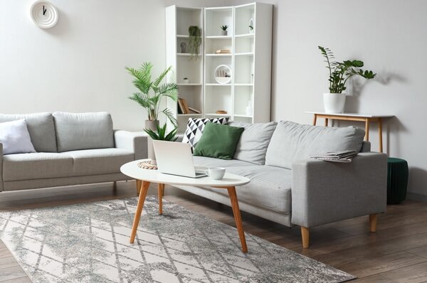 Covor gri 200x280 cm Sensi Gepi – FD